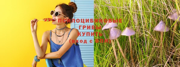 метамфетамин Аркадак