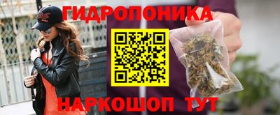 дмт Камышлов